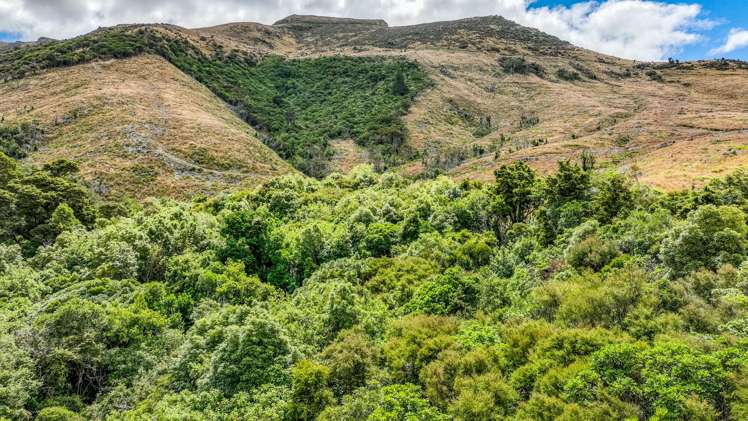 1467 Western Valley Road Port Levy_7