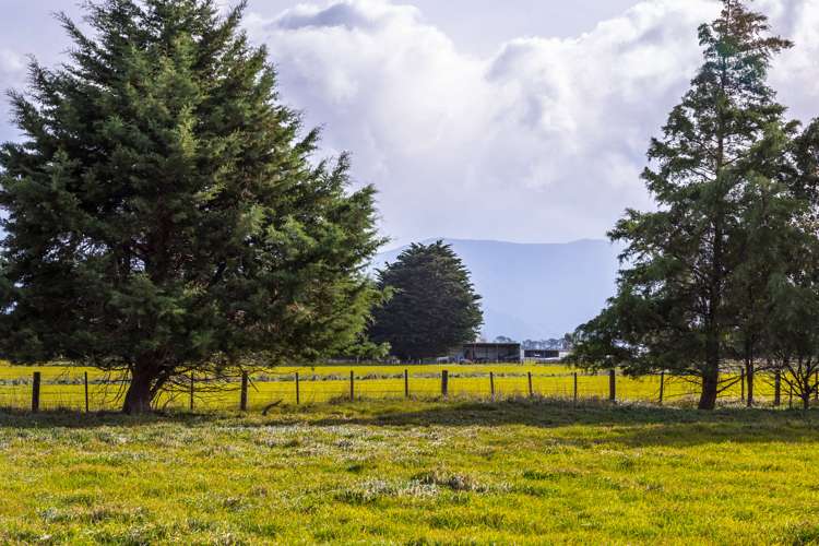 23 Settlement Road Greytown_11