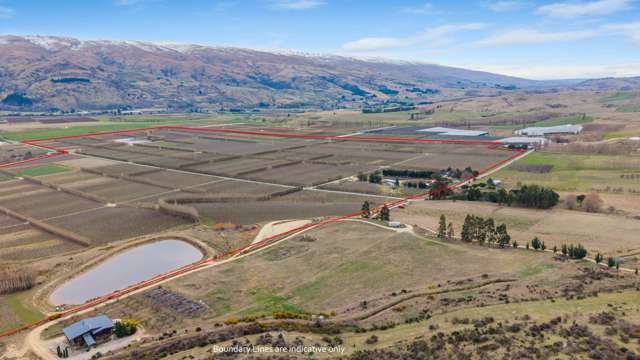 213 Kinaston Road Roxburgh_3