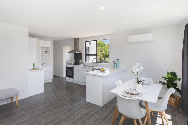 335 Hills Road Mairehau_1