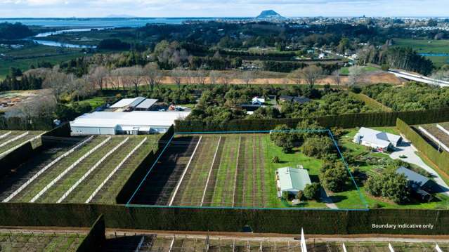 154b Wairoa Road Te Puna_1