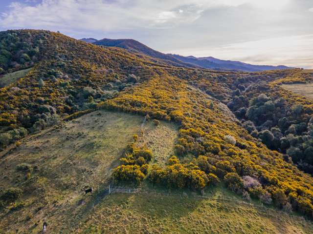 414 Engelbrechts Road Hunter_3