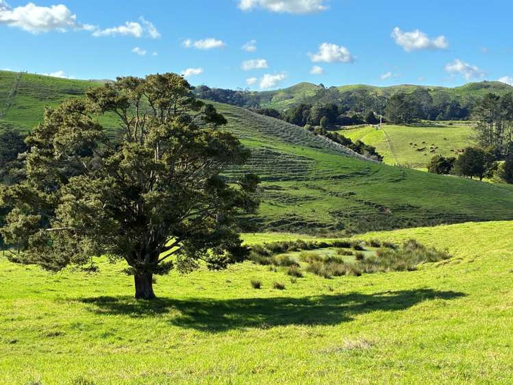 Paparoa Road_3