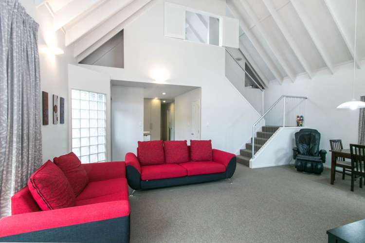 199a Hillsborough Road Hillsborough_5