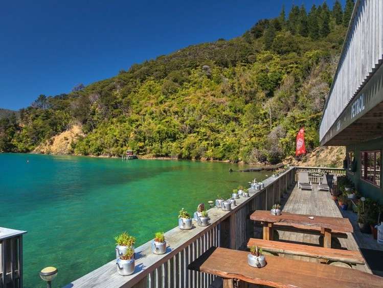 Wilson Bay Marlborough_13