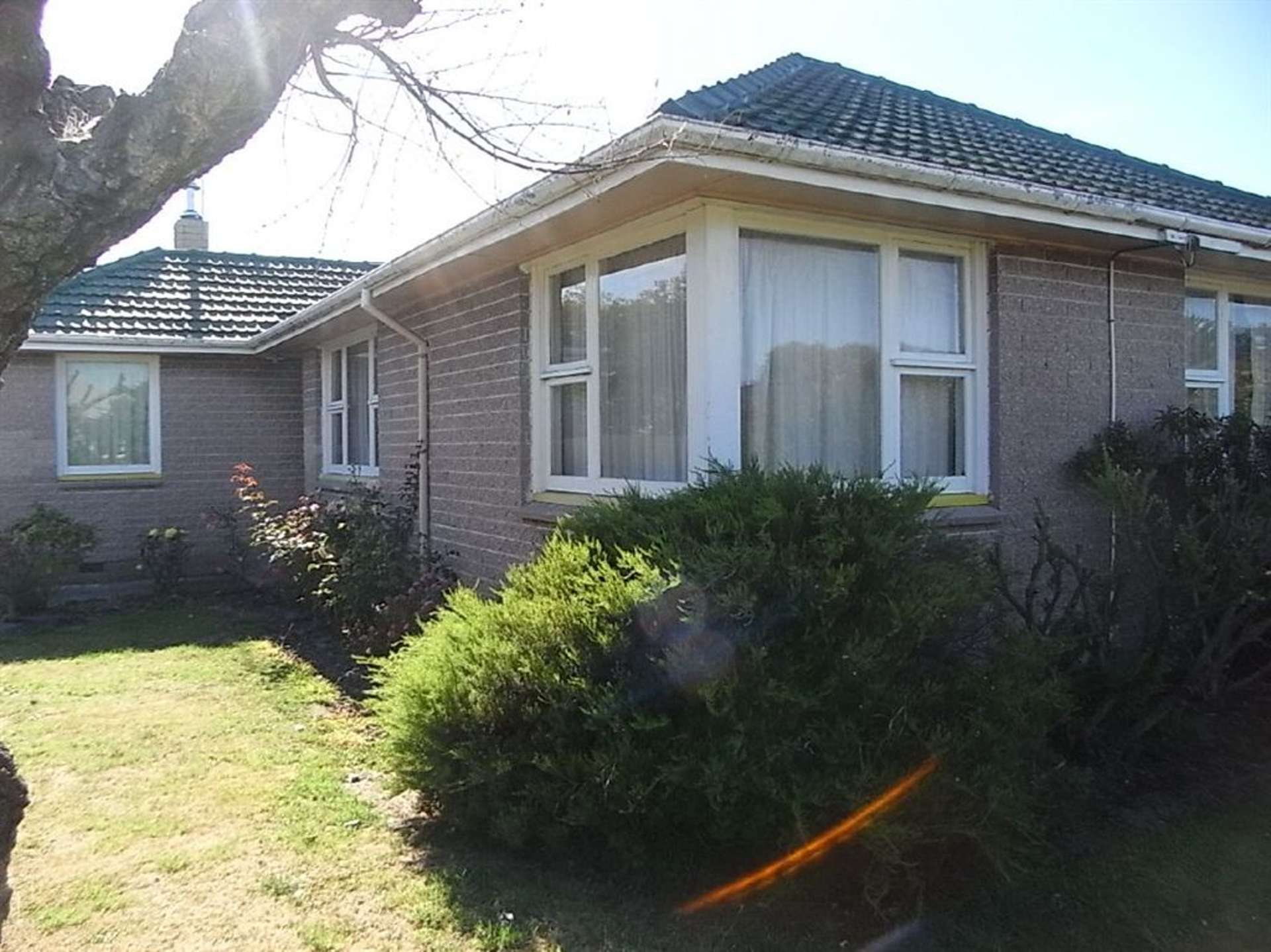 60 Colman Avenue Sockburn_0