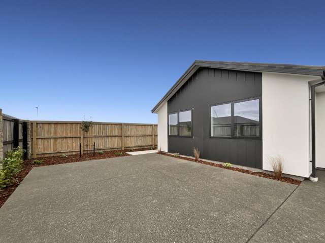 Brand new 2 bedroom in Arbor Greene