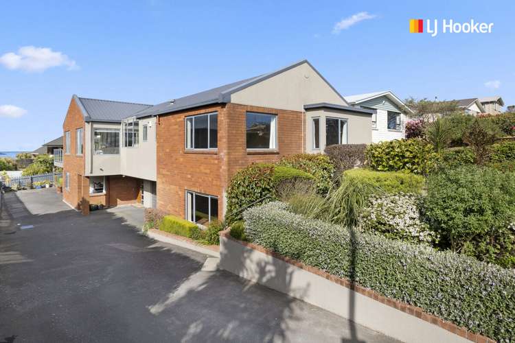 239 Larnach Road_0