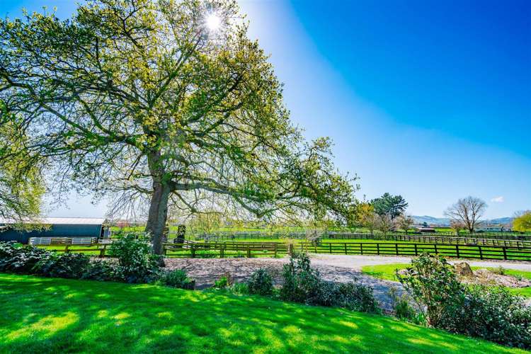 122 Rotoorangi Road Cambridge_33