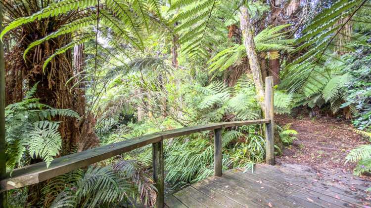 60 Victoria Street, Waikino Waihi_24