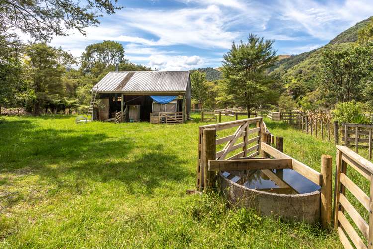 33 Pakaraka Thames_27