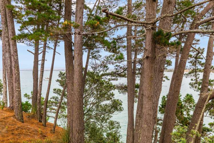 72 Rosecamp Road Beach Haven_14