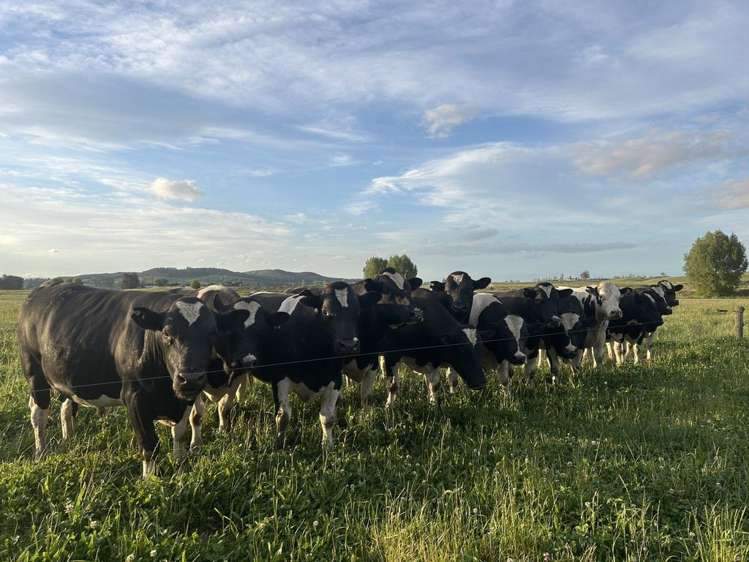 566 Pourerere Road Waipawa_36