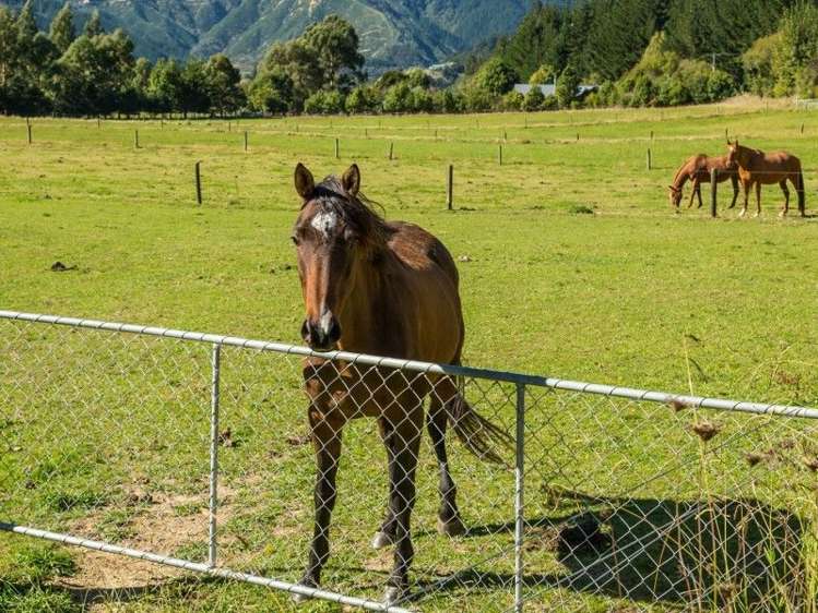 216 Para Road Picton_7