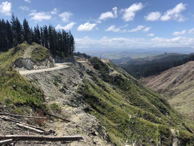 Duncan Road Waimata_12