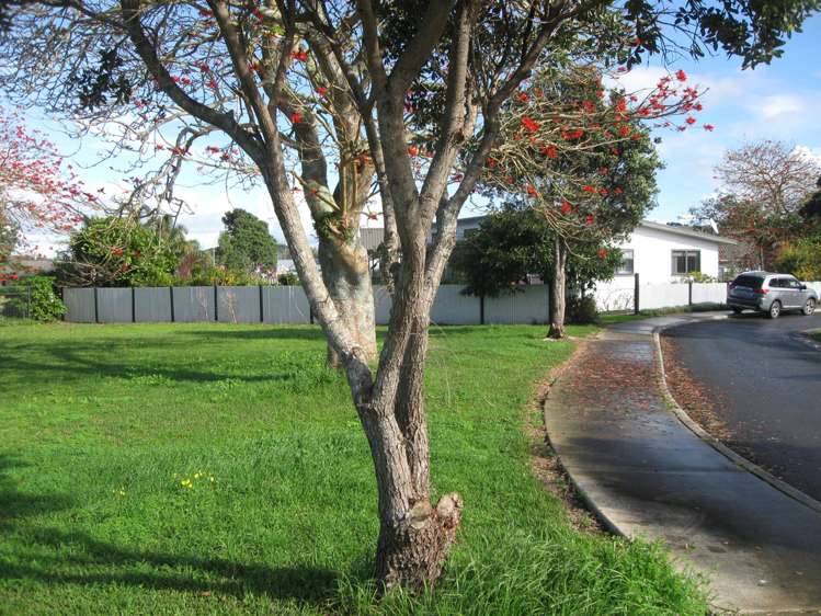 26 Flame Tree Lane Taipa_5