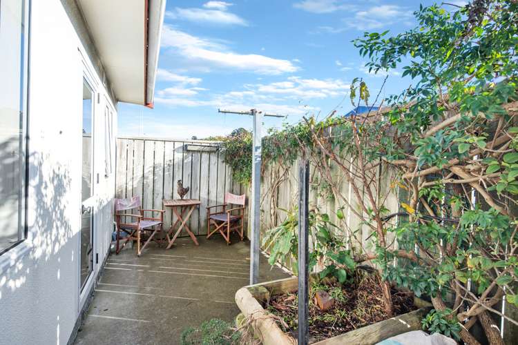 6 Macalister Place Miramar_10