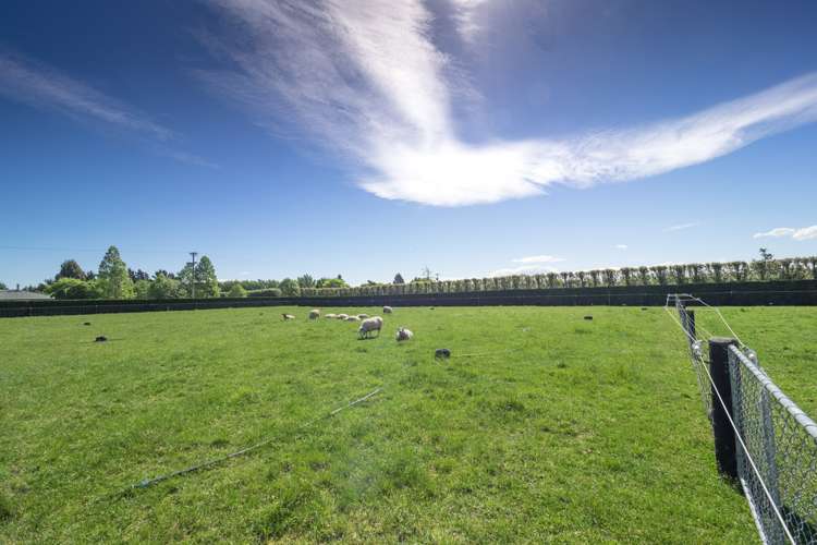 65 Northpark Road Newland_20