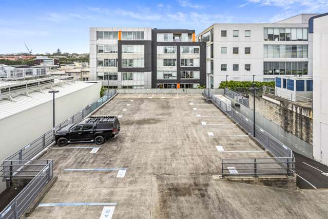 131 Khyber Pass Road Grafton_3