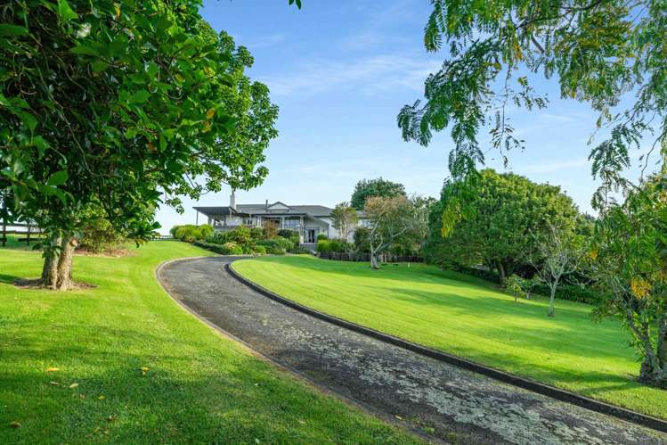 25 Rewa Rewa Valley Tairua_27