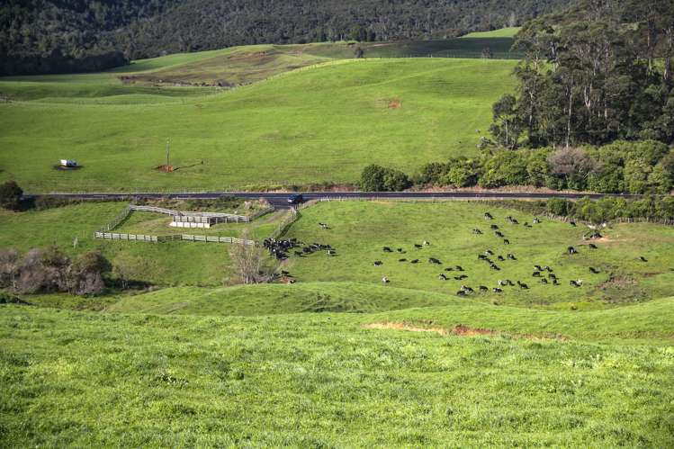 2511 Kopu Hikuai Sh25a Road Hikuai_6