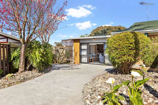 55 Walworth Avenue Pakuranga Heights_1