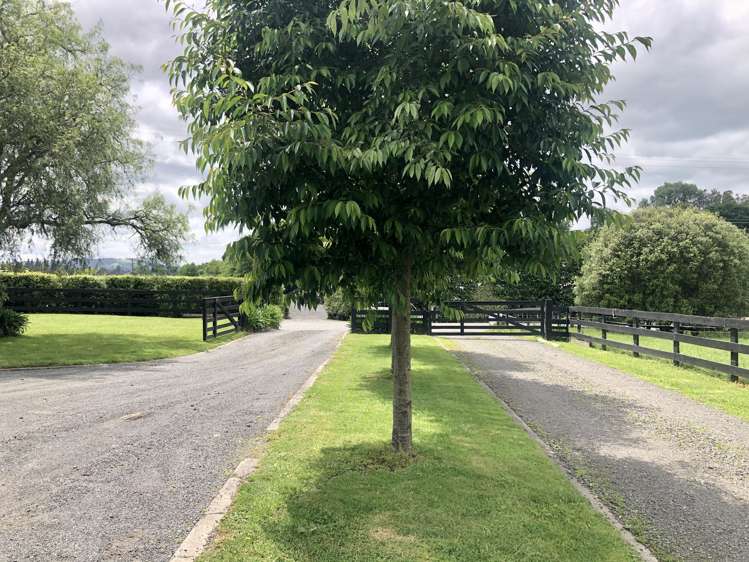 57 Pukerimu Lane Cambridge_16