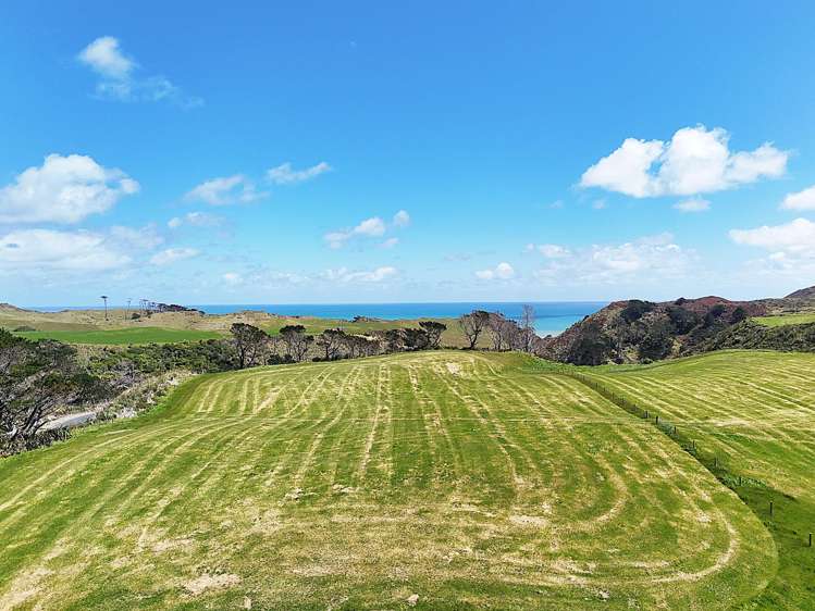 Lot 1 Redhill Road Te Kopuru_3