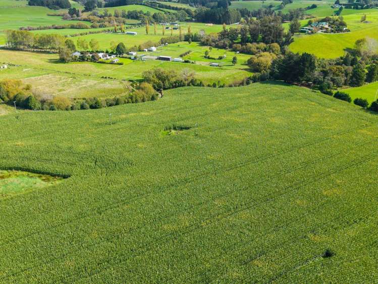 Coonoor Road Watlington_8