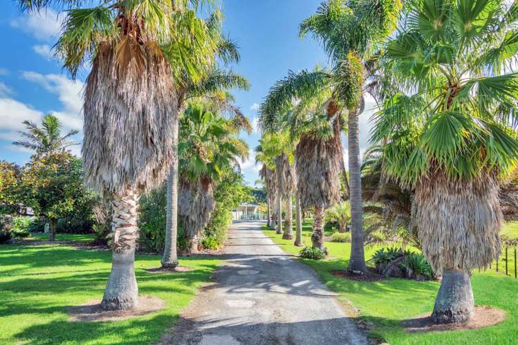 198a Devich Road Mangawhai_5