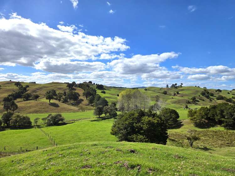 2761 State Highway 14 Whangarei_17