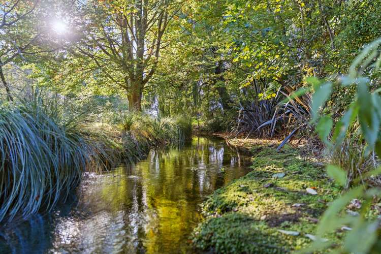 584 Orari Station Road Geraldine_36