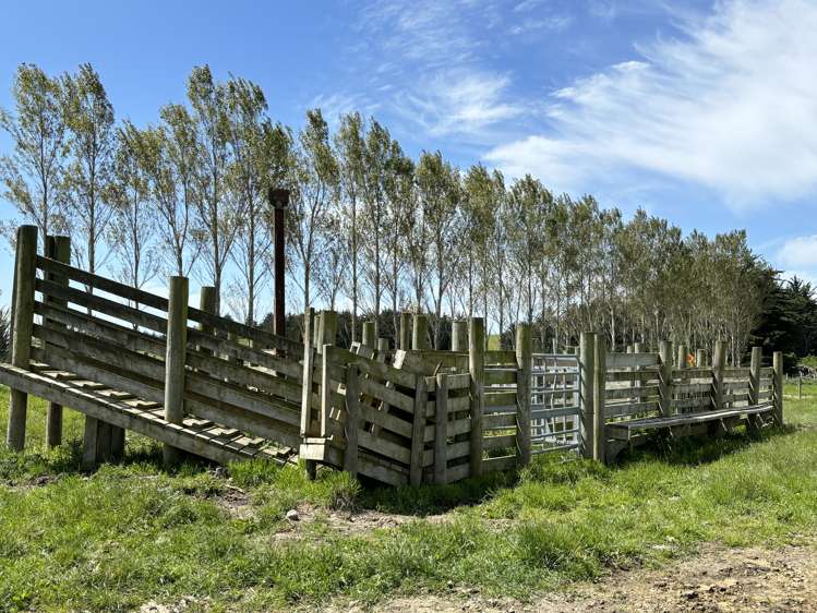 11 Irvine Road Herbert_22