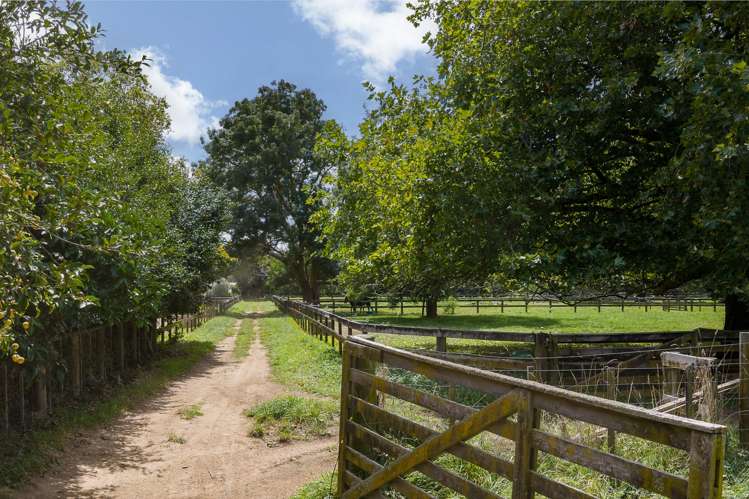 59 Fuchsia Lane Tamahere_20