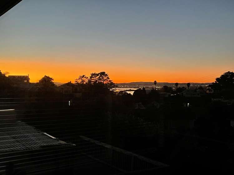 296 Hillsborough Road Hillsborough_17