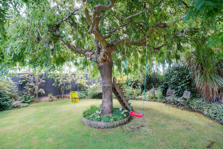 430 Racecourse Road Hargest_16