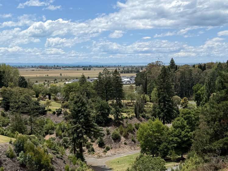 86 Oak Road Poraiti_18