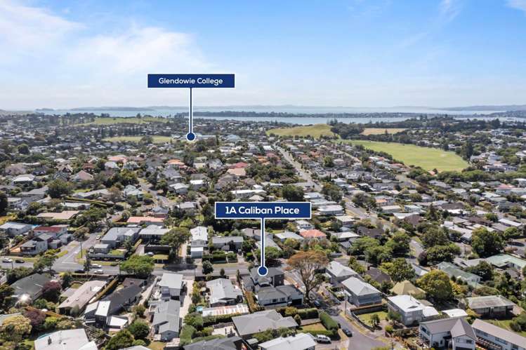 1a Caliban Place Saint Heliers_39