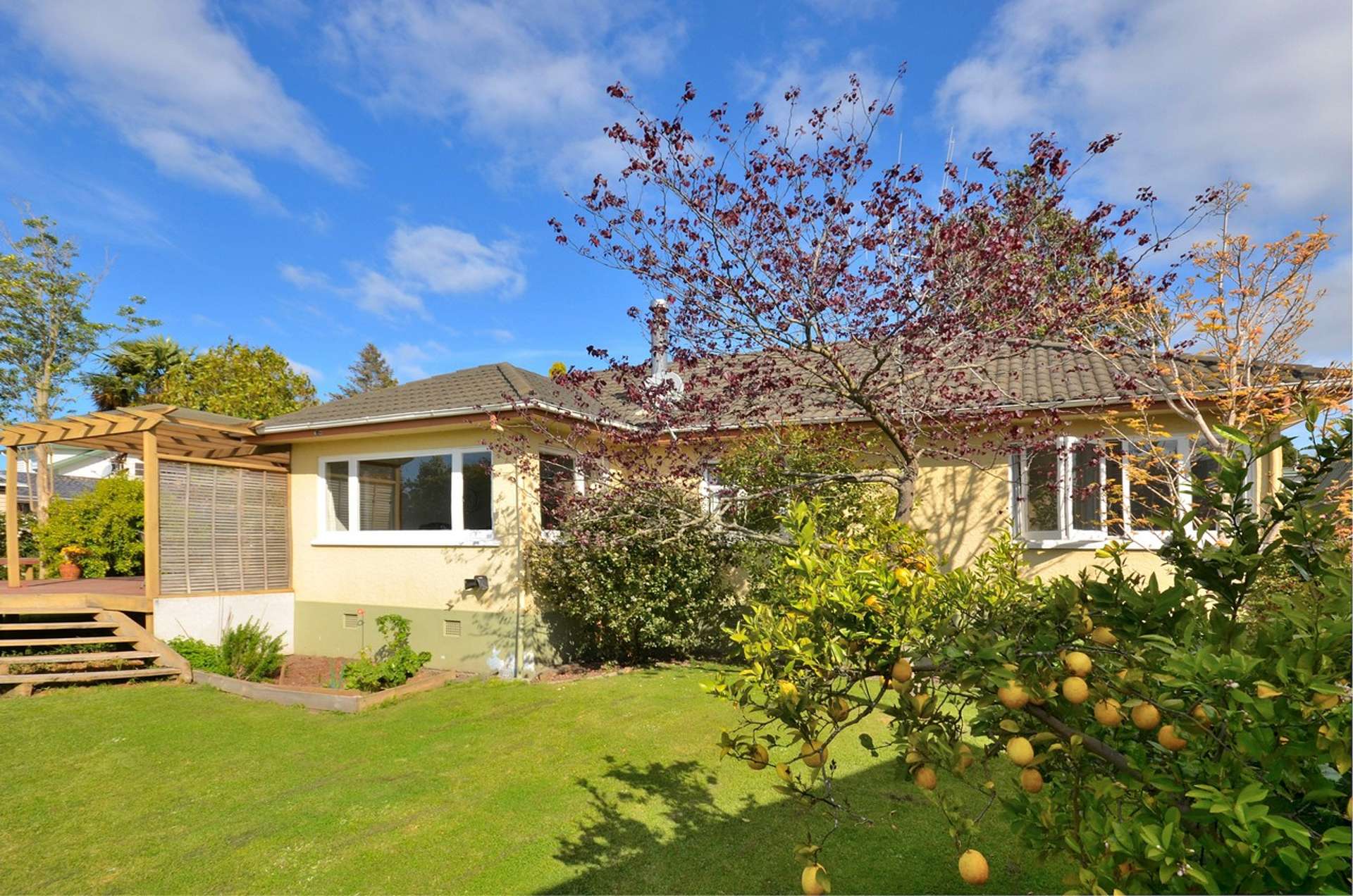 337 Waihi Road Judea_0