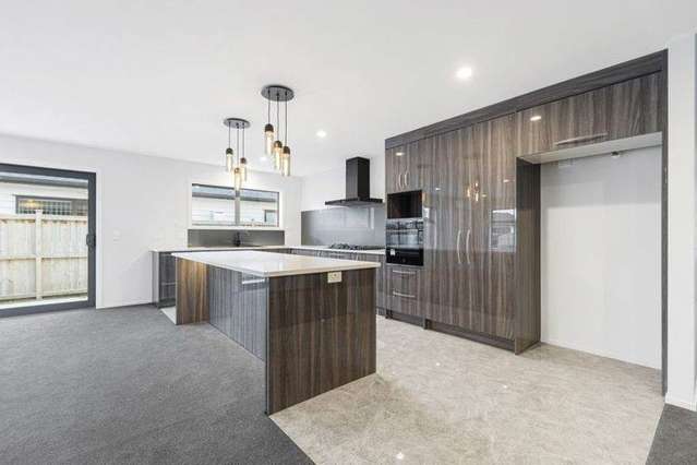 16 Silver Beech Street Takanini_1