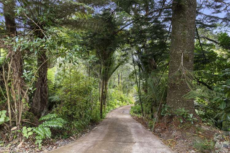 142 Konini Road Titirangi_20