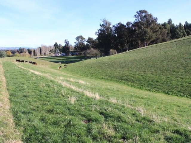 62a Tirohanga Road North Taieri_2