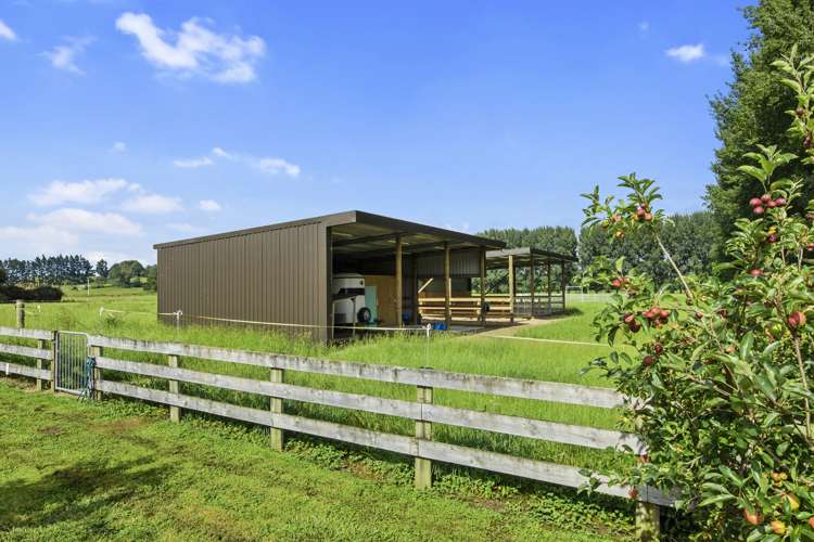 21 Barrett Road Temple View_15