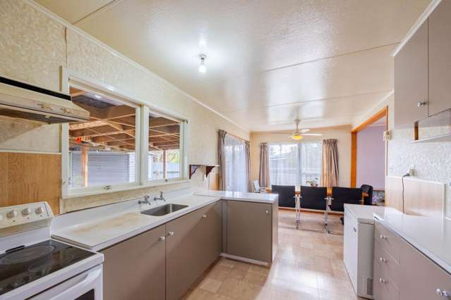 24 Essex Street Tamatea_3