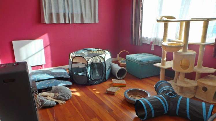 7 Dudley Street Levin_4