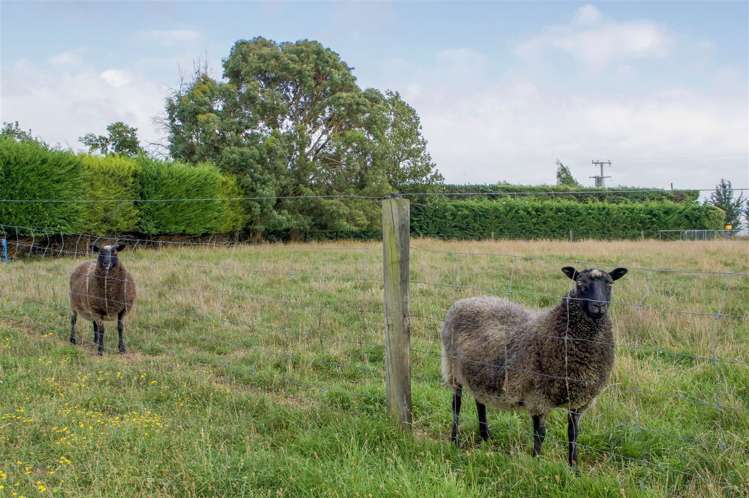 41 Bridge Road Fernside_12