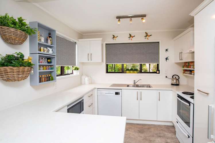 9a Campbell Street Maori Hill_7