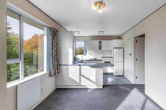 A/70 Crewe Street Gore_3