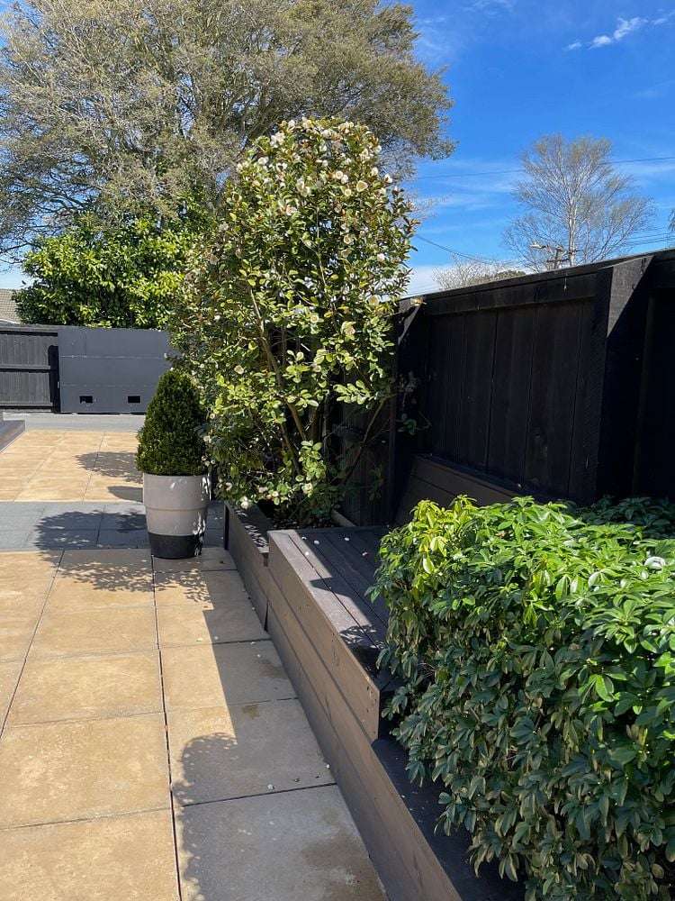 50 Mays Road Saint Albans_5