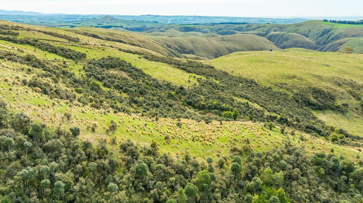 1121 The Dasher Road_2